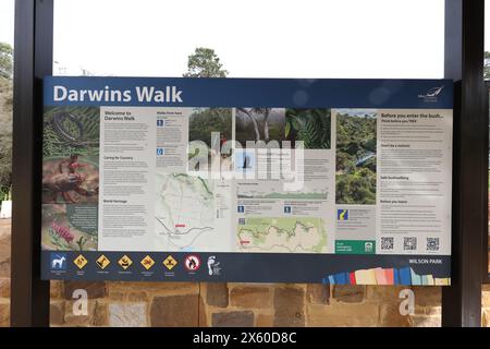 Inizio della Darwins Walk (parte della Grand Cliff Top Walk) a Wilson Park, Wentworth Falls, Blue Mountains, NSW, Australia Foto Stock