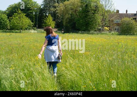 Eton, Windsor, Berkshire, Regno Unito. 12 maggio 2024. Una donna cammina attraverso un campo di tazze in una bella giornata di sole a Eton, Windsor, Berkshire. Si prevede che le temperature raggiungano di nuovo i 27 gradi oggi, tuttavia i temporali sono previsti più tardi. Crediti: Maureen McLean/Alamy Live News Foto Stock