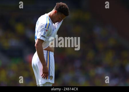 Carrow Road, Norwich, Norfolk, Regno Unito. 12 maggio 2024. EFL Championship Play Off Football, semifinale, First Leg, Norwich City contro Leeds United; Un degetto Ethan Ampadu del Leeds United come Leeds lotta per il controllo del gioco Credit: Action Plus Sports/Alamy Live News Foto Stock