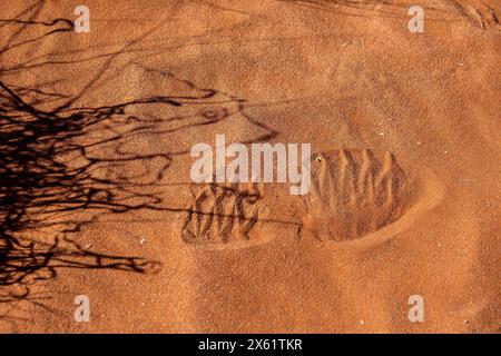 L'ombra nera di un'erba e una stampa di stivali umani sulla sabbia arancione del deserto nel Namib. Adatto come immagine di sfondo. Foto Stock