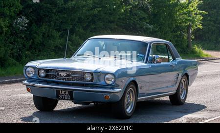 Stoke Goldington, Regno Unito - 12 maggio 2024:1966 Ford Mustang GT auto d'epoca che guida su una strada inglese Foto Stock