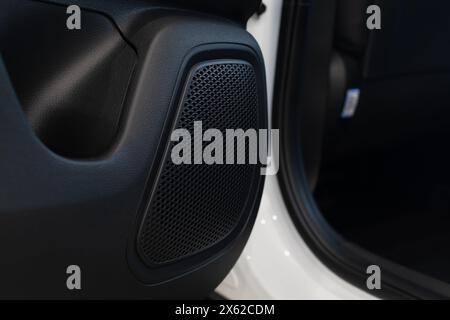 Colonna sonora del sistema multimediale nella portiera posteriore dell'autovettura primo piano su sfondo sfocato Foto Stock