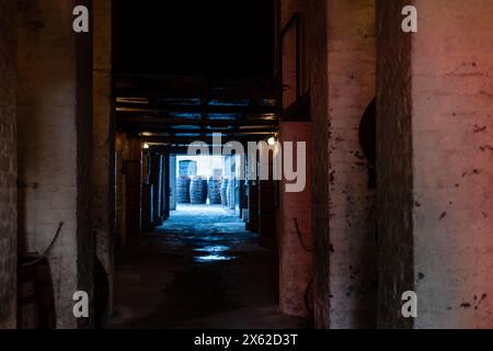 File di botti di vino in legno in un magazzino di mattoni scuri Foto Stock