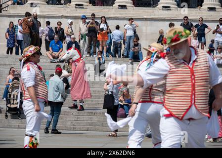 Londra, Regno Unito. 11 maggio 2024. I personaggi a testa di cavallo ballano alla folla sulle scale della National Gallery. Il Westminster Morris Dancers Day of Dance è un evento annuale. Gli spettacoli si sono svolti in varie località come l'abbazia di Westminster, i Victoria Tower Gardens, ma il principale era a Trafalgar Square. (Foto di Krisztian Elek/SOPA Images/Sipa USA) credito: SIPA USA/Alamy Live News Foto Stock