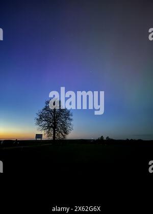 Sagoma di un enorme albero di quercia in un bellissimo tramonto arancione nell'aurora boreale. Foto Stock