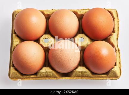 Primo piano di uova fresche di colore marrone in un vassoio di cartone dorato su sfondo bianco, che denota prodotti biologici, alimentari, colazione e nutrizione. Foto Stock
