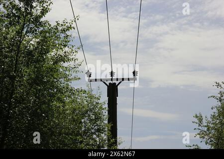 Vecchio e Rusty Telegraph Utility Pole circondato da alberi nella campagna inglese Foto Stock