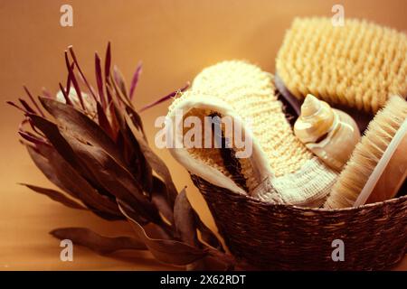 Un cestino di spazzole massaggianti a setole dure. Cura della pelle del corpo. Prodotti di bellezza. Natura morta con cosmetici da donna. Preparare il corpo per l'estate Foto Stock