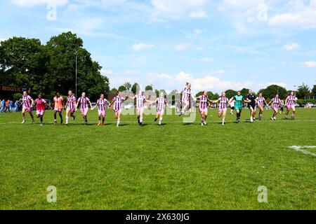 Crawley, Regno Unito. 12 maggio 2024. Le giocatrici del Dulwich Hamlet festeggiano la vittoria della London and South East Regional Womens Premier League tra AFC Crawley e Dulwich Hamlet al Three Bridges FC. Crediti: Liam Asman/Alamy Live News Foto Stock