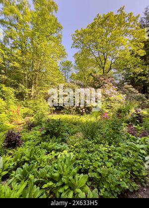 Giardino dello Yorkshire in piena fioritura d'estate Foto Stock