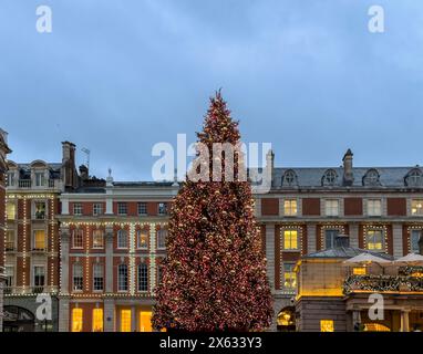 Albero di Natale al Covent Garden, al crepuscolo. Londra. Foto Stock