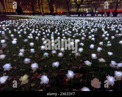 Rose finte bianche illuminate nel giardino Ever After di Piazza Grosvenor. Londra. Foto Stock