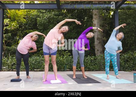 Diverse amiche anziane che si allungano su tappeti da yoga all'aperto Foto Stock