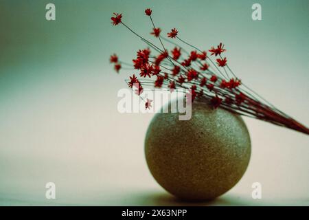 Natura morta con un bouquet di fiori selvatici secchi rossi su palloncino decorativo su sfondo verde azzurro. Composizione floreale. Fiori rurali. Copia spazio Foto Stock