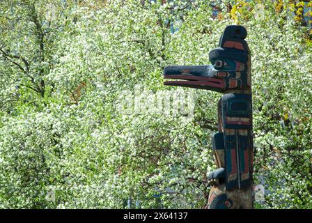 Totem Pole (Kwakiutl) and Tree in White, Spring, Confederation Park, Ottawa, Ontario, Canada Foto Stock