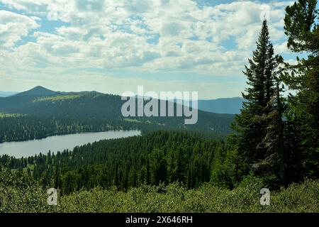 Alti e soffici cedri su un dolce pendio di una montagna ricoperta di fitte foreste di conifere in una pittoresca valle sezionata da un grande lago. Ergaki Na Foto Stock