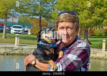 Le mie mamme PET dachshund mescolano preziose Foto Stock