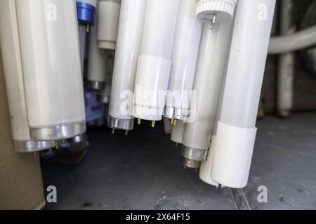 Dettaglio delle vecchie lampadine danneggiate e gettate, riciclaggio Foto Stock