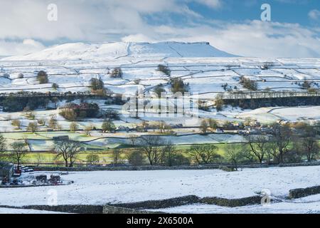 Neve fresca e sole invernale che copre le cime caduto a Wensleydale intorno a Nappa Scar e Addlebrough, North Yorkshire, Regno Unito. Foto Stock