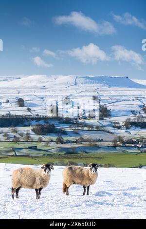 Neve fresca e sole invernale che copre le cime caduto a Wensleydale intorno a Nappa Scar e Addlebrough, North Yorkshire, Regno Unito. Foto Stock