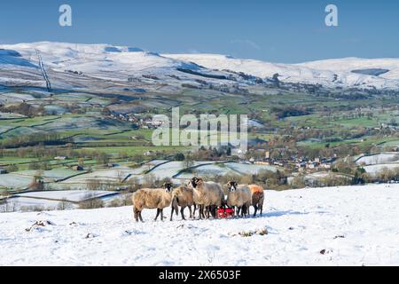 Neve fresca e sole invernale che copre le cime caduto a Wensleydale intorno a Nappa Scar e Addlebrough, North Yorkshire, Regno Unito. Foto Stock