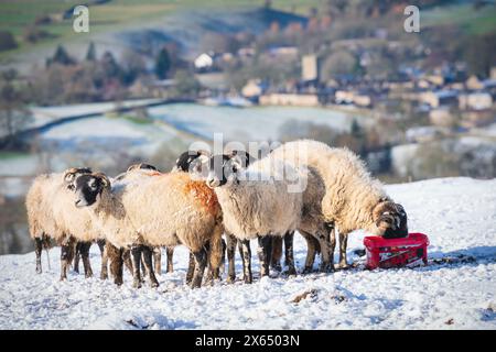 Neve fresca e sole invernale che copre le cime caduto a Wensleydale intorno a Nappa Scar e Addlebrough, North Yorkshire, Regno Unito. Foto Stock