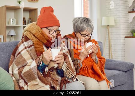 Una coppia anziana calda con tè sul divano Foto Stock