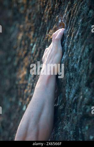 Scalatori forti che afferrano a mano una parete di cava Foto Stock