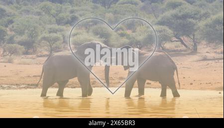 Immagine del cuore sugli elefanti sulla savana Foto Stock