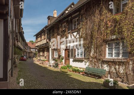 Vicolo con ciottoli e case a graticcio nel centro storico di Gengenbach, Kinzigtal, Foresta Nera, Baden-Wuerttemberg, Germania Foto Stock