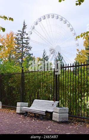 Un grande tuffo nel parco divertimenti in autunno. Parco delle attrazioni 'Divo Island' sull'isola di Krestovsky a San Pietroburgo, Russia Foto Stock