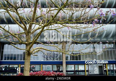 Fioritura degli alberi e stazione degli autobus di Preston Foto Stock