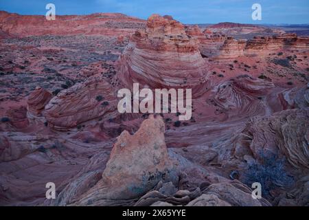 Strane e vorticose formazioni rocciose nel deserto dell'Arizona di Coy Foto Stock