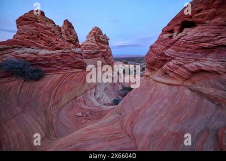 Strane e vorticose formazioni rocciose nel deserto dell'Arizona di Coy Foto Stock