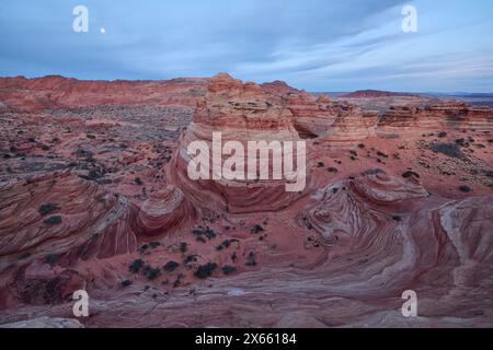 Strane e vorticose formazioni rocciose nel deserto dell'Arizona di Coy Foto Stock