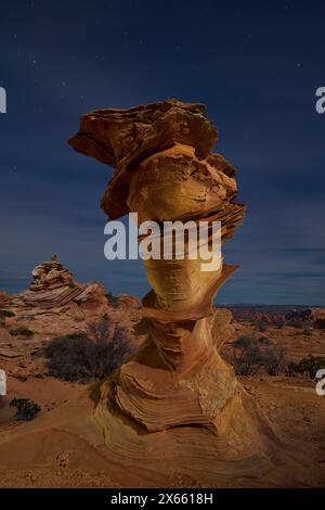 Hoodoo e strane formazioni turbolente nel deserto dell'Arizona Foto Stock