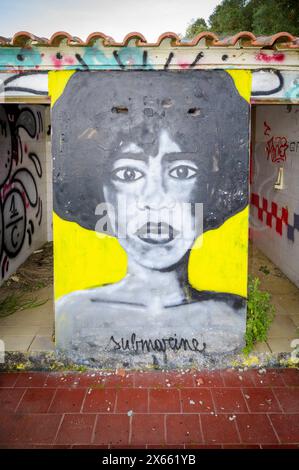 Graffi colorati su vecchi edifici abbandonati sulla spiaggia, Alentejo, Portogallo. Foto Stock