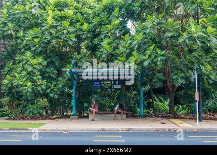 Circondato da alberi di Breadfruit (Artocarpus altilis), due persone sedute in attesa presso una fermata dell'autobus fuori dai Giardini Botanici di Cairns nel Queensland, Australia. Foto Stock