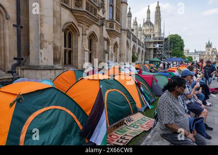 Cambridge, Regno Unito. 11 maggio 2024. I turisti siedono su un muro accanto all'accampamento Cambridge for Palestine (C4P) sul prato fuori dal King's College presso l'Università di Cambridge. Gli studenti di diverse università del Regno Unito stanno organizzando delle professioni per esercitare pressione sulle loro istituzioni di studio per porre fine ai partenariati accademici con Israele e disfarsi da Israele come parte di una rivolta studentesca globale in corso iniziata nelle università degli Stati Uniti. Crediti: Mark Kerrison/Alamy Live News Foto Stock