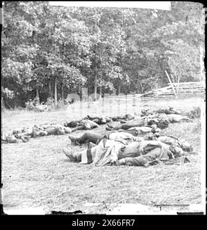 Gettysburg, Pa. I morti confederati si riunirono per la sepoltura al bordo sud-occidentale delle Rose Woods, 5 luglio 1863, Civil War Photographs 1861-1865 Foto Stock