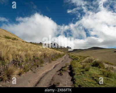 Un sentiero escursionistico nel paramo, una valle ricoperta di erba tra le Andead. Nel Parco Nazionale del Cotopaxi in Ecuador. Foto Stock