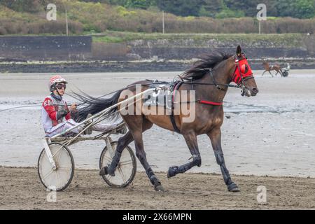Corse al trotto sulla spiaggia di Harbour View, Kilbrittain, West Cork, maggio 2024 Foto Stock
