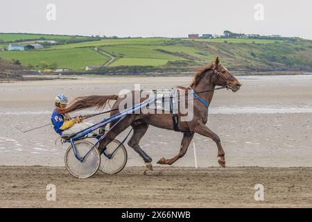Corse al trotto sulla spiaggia di Harbour View, Kilbrittain, West Cork, maggio 2024 Foto Stock