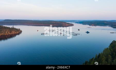 Tranquillo scatto aereo di un allevamento ittico con gabbie circolari in un tranquillo lago, circondato da fitte foreste durante la mattina presto. Foto Stock