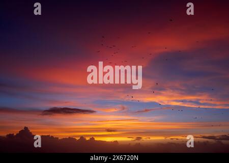Tramonto nel cielo bellissimo paesaggio nuvoloso con colori caldi e stormo di uccelli nell'aria, sfondo naturale illuminato dal sole. Foto Stock