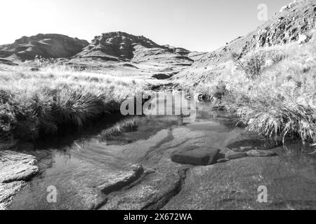 Vista in bianco e nero su un limpido ruscello montano nel profondo dei Monti Drakensberg Foto Stock