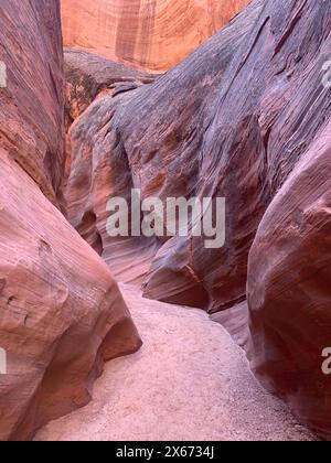 Il primo piano delle pareti di arenaria nell'Antelope Canyon mostra le caratteristiche geologiche erose e scolpite formatesi nella roccia da migliaia di anni di inondazioni Foto Stock