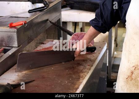 Dettaglio della mano di un pescivendolo che taglia spadaccino al pesce fresco di Ortigia Siracusa, storico mercato ittico italiano Foto Stock