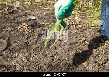 Donna che lavorano nel vostro giardino - preparare il terreno per letti in rilievo Foto Stock