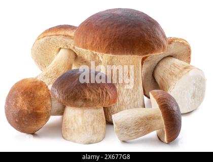 Gruppo di funghi porcini isolati su fondo bianco. Foto Stock